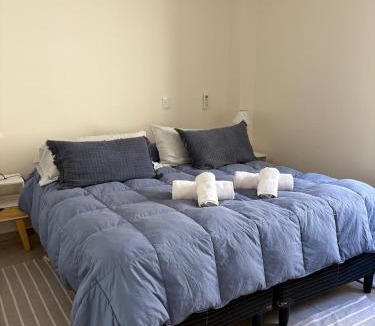 Mendoza City Center Apartment | Excepcional apartamento, con patio cochera y parrilla en el centro