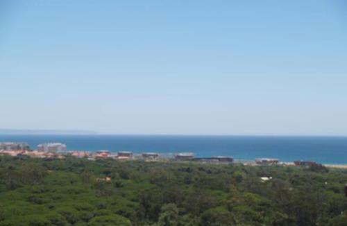 Pica Galo Apartment | Exclusive beachfront house
