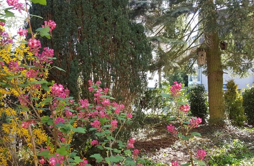 Stahnsdorf House | Exclusive detached house with garden between Berlin and Potsdam.