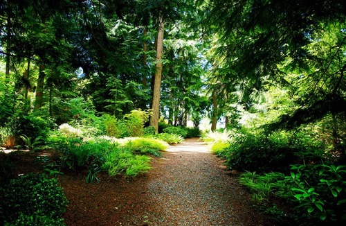 Bowen Island House | Exclusive Oceanfront Bowen Island Beach House. Peaceful & Private beach access.