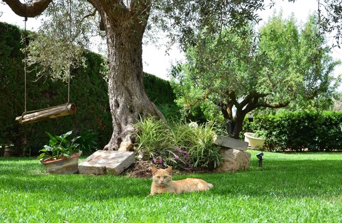 Vittoria Villa | Exclusive Pool Villa - Cascina Relais
