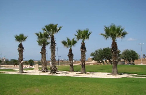 Ashkelon Boat Rental | Exclusive water experience with panoramic view
