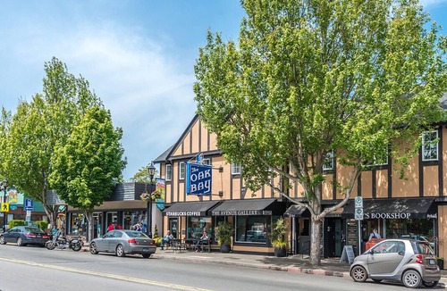Gonzales House | Executive Classic Home in one of the best areas in Victoria.