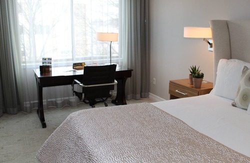 Edina Hotel | Executive Queen Room in Charming Minneapolis Boutique Hotel