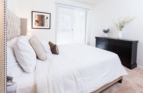 Airport Area Apartment | Executive Suite on Scholarship
