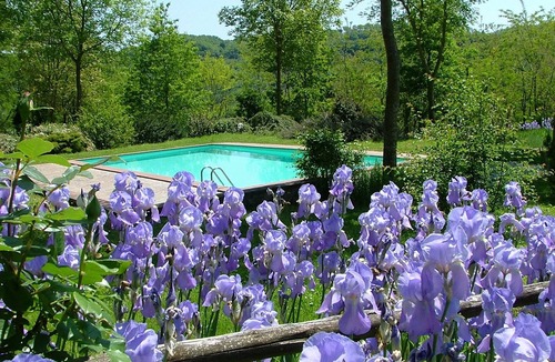 Proceno Apartment | Experience a breathtaking vacation in a castle, B&B,breathtaking view,restaurant