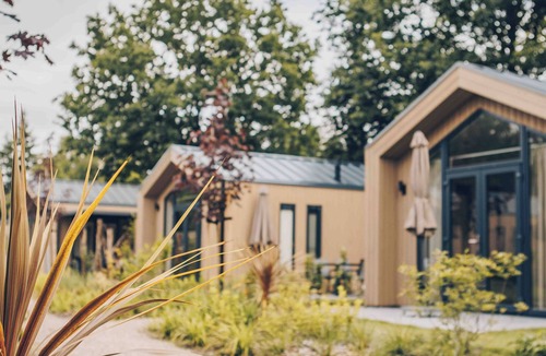 Lieren House | Experience luxury and nature in the Tiny Lodge on the Veluwe! Single-storey with 2 bedrooms, a fully equipped kitchen, air conditioning and a private hot tub in the garden.