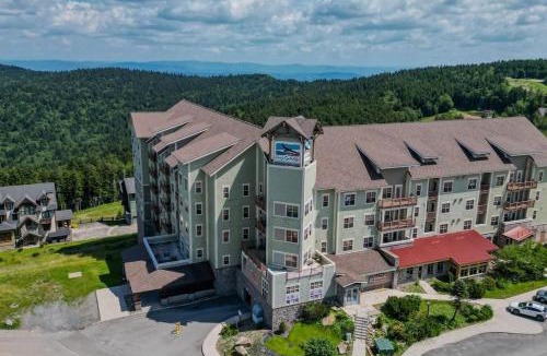 Edray Apartment | Experience luxury slopeside living in this stunning 6BR, 4.5BA Soaring Eagle condo