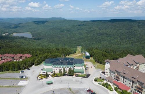 Edray Apartment | Experience luxury slopeside living in this stunning 6BR, 4.5BA Soaring Eagle condo