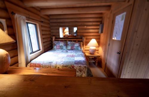 Bigfork Hotel | Experience Montana Cabins - Wildflower #3
