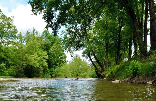 Branson Cabin | Experience the timeless charm of the Pinecrest Cabin, a delightful twist on the classic cabin style. Step inside and be greeted by the warm and rustic log cabin ambiance that will transport you to the heart of Branson, MO.