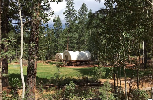 Alton Cabin | Experience the Wild West in Luxury!