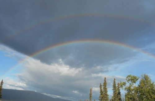 Healy Cabin | Experience True Alaska secluded Cabin just 15 miles from Denali National Park.