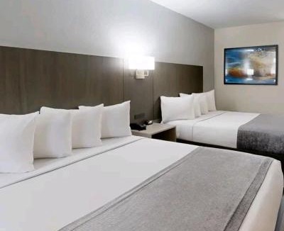 Bahir Dar Hotel | Explore Bahirdar Hotel