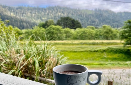 Orick House | Explore Redwood National Park with Hot Tub, Wood Stove, and Fire Pit!