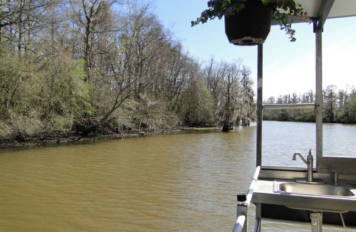 Pierre Part Boat Rental | Explore the bayous of South Louisiana on your own! -Ask about 4dy SPECIAL!-