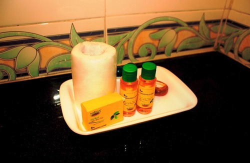 Faridabad Hotel | FabExpress Galaxy II