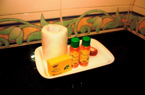 Kalkaji Hotel | Fabhotel Golden Eye Inn