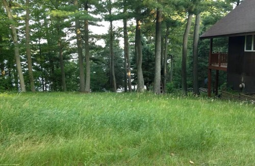 Hackensack Cabin | Fabulous 3-bedroom cabin in charming Hackensack for your getaway