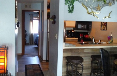 Port Clinton Condo | FABULOUS HARBORSIDE CONDO, FREE 30' DOCK, AWESOME LAKE ERIE SUNSETS, 2 BEDROOMS,