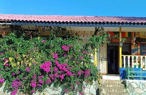 Yotoco House | FAERA HOSTEL