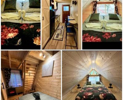 Bakonybel Apartment | Faház a fenyők alatt - Borostyánkút Wellness Home II Bakonybél