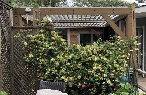 Fair Harbor Cottage | Fair Harbor Fire island