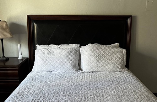 Bellevue Apartment | Fair Haven Studio L
