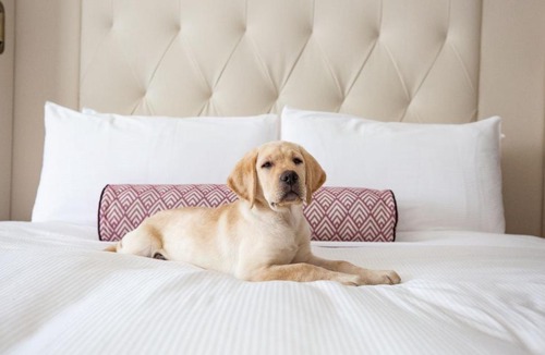 West End Hotel | Fairmont Washington DC Gold Experience