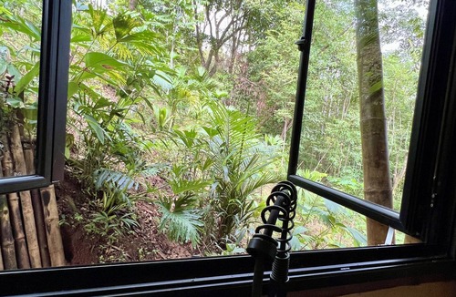 Jaco Cabin | Fairytale ceiling glass bamboo structure with jungle view