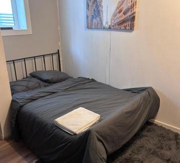 Calgary Apartment | Falcon Escape- Basement