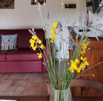 Simignano House | Falesta