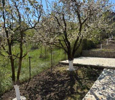 Apahida Villa | FamALSANAT