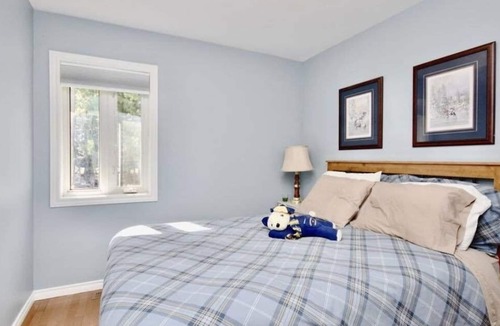 Tiny Cottage | Family Cottage in the middle of the forest just 10 min walk to the beach!