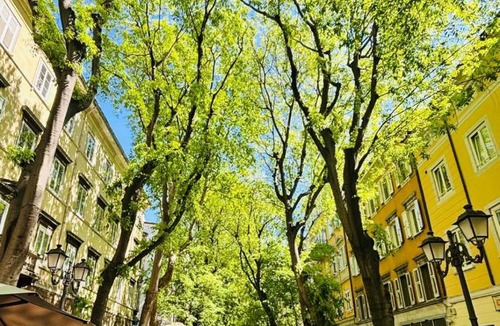 Citta Nuova-Barriera Nuova-San Vito-Citta Vecchia Apartment | Family Home Trieste