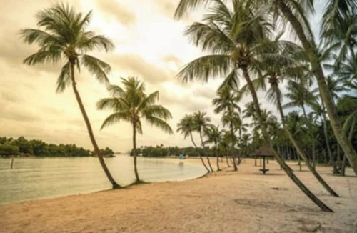 Pasir Ris Hotel | Family Jungle room @Attractions Packed Beach Resort