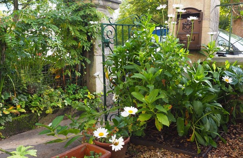 Upper Town House | Family Townhouse Sleeps 6 9 Minute Walk to City Centre Parking Available