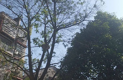 Fenghuang Hostel | Fangxin Hostel