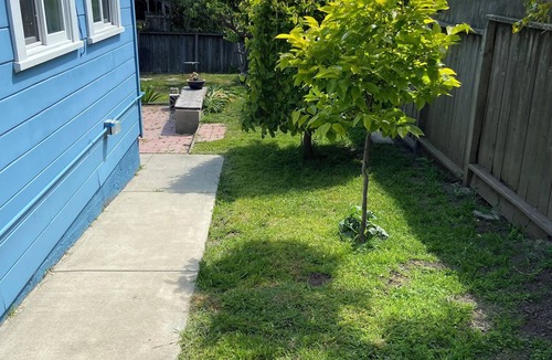 Albany Apartment | Fantastic 1-bedroom apartment in Albany
