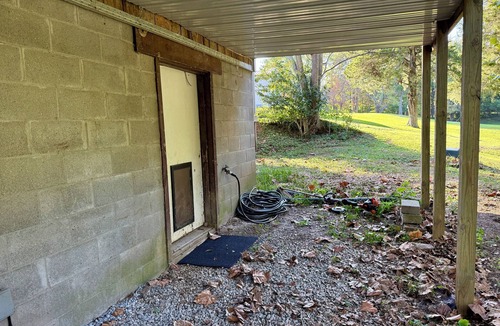 Carbondale Cabin | Fantastic 1-bedroom Cabin in peaceful Makanda, Pet-Friendly!