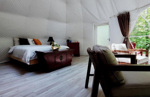 Laurentian Hills House | Fantastic Dome Nestled Amidst Trees and Barbecue Provided in Petawawa, Ontario