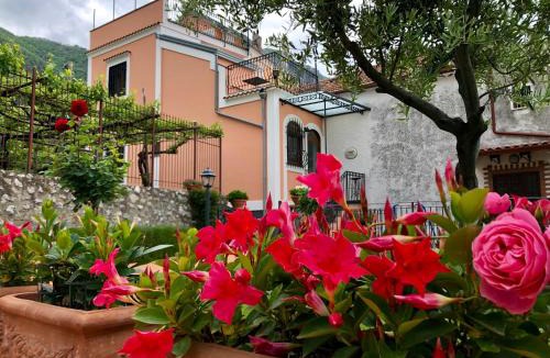 Campinola Bed & Breakfast | Farfalle e Gabbiani
