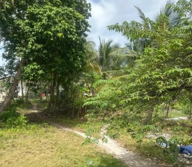 Philippines Cabin | Farm small courtyard
