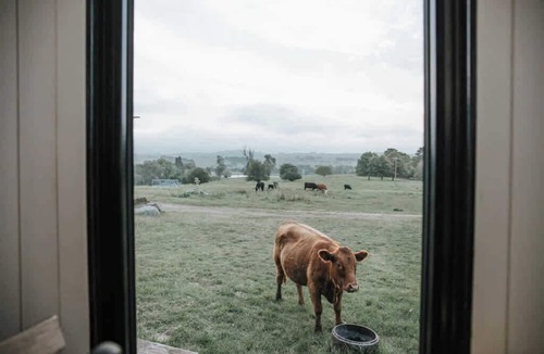 Braidwood House | Farm Stay Tiny House by Tiny Away