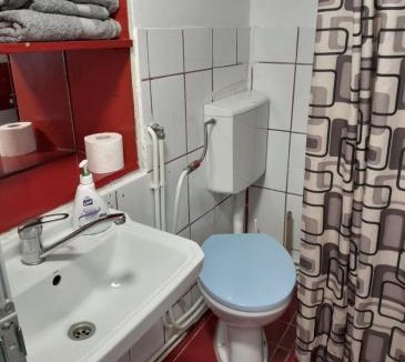 Cluj-Napoca Apartment | Farmec vintage2
