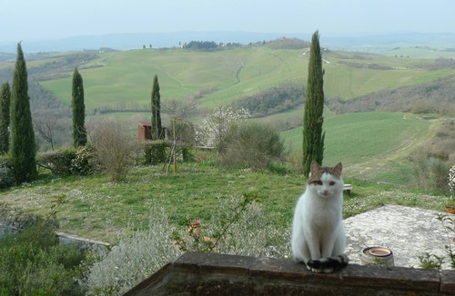 Ponte di Gabbiano Apartment | Farmhouse apartment with swimming pool and sensational views