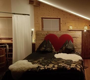 Lienz Apartment | Faschingalm Loft