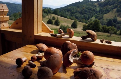 Viseu de Sus House | Fascinating holiday home in the middle of the Maramureş mountains