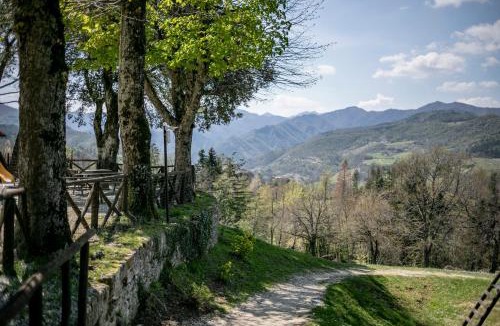 Bagno di Romagna House | Fattoria Cà Di Gianni
