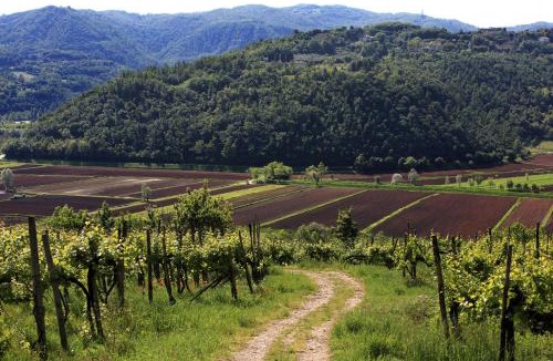 Arcugnano House | Fattoria Le Vegre